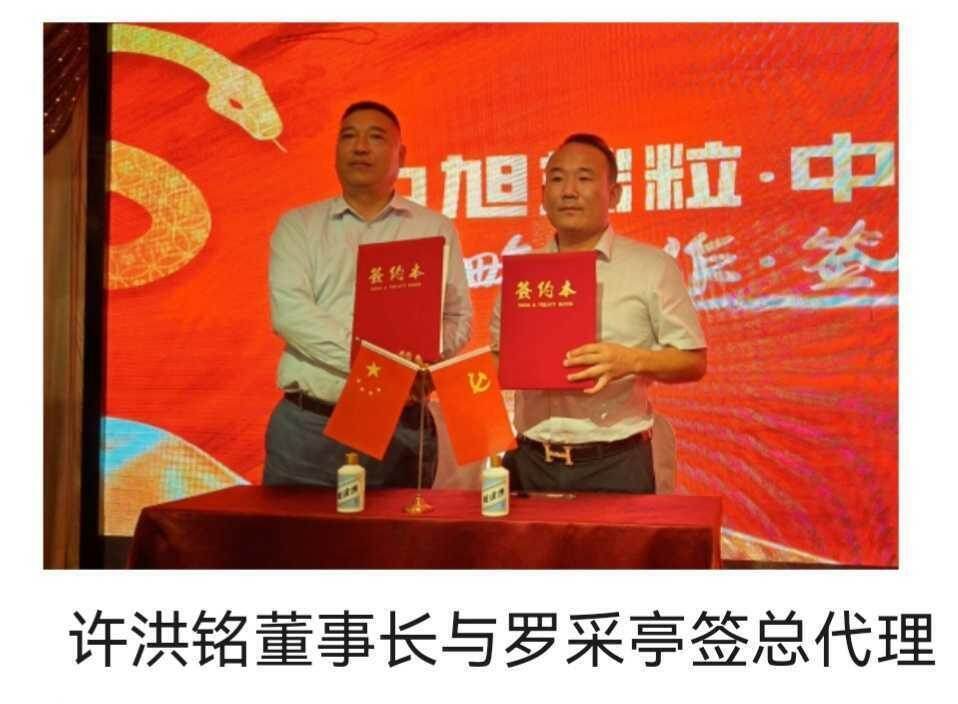 签约新闻